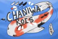 Chaniwa Koi Adopts || Coming Soon