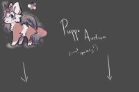 puppers auction (closed)