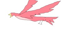 bird | chery bird
