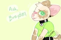 Ask Brayden