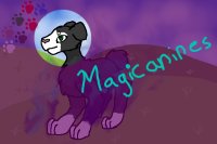 *Magicanines* A closed species* Marking allowed!