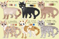 [2] Realistic Cat Adopts OTA [OPEN]