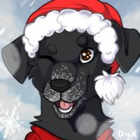 Holiday avatar