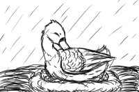 I Felt like drawing a duck