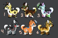PUP ADOPTABLES UFS [3/6] available