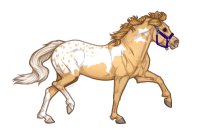 Ferox Welsh Pony #362 - Apricot Overo Blanket Pintaloosa