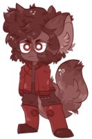 raccoon boy