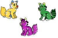 Dog color designs