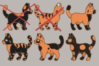 Tiger Color Adopts! Cat Adopts Batch One!