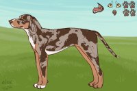 Bonded Entry #2 - American Leopard Hound
