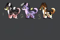 PUP ADOPTS UFS [1/3] Available