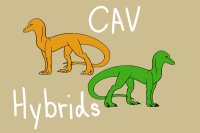 CAV Hybrids Lines
