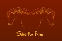 Silverfox Farm AQHA