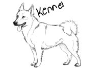 My Kennel
