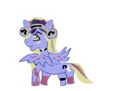 custom pony