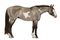 Colonial Quarter Horse - #000 Colonial Quarter Horse - #000
