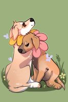 flower pups
