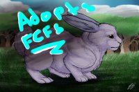 Bunny FCFS adopts