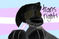 sydney says trans rights
