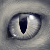 Cat Eye Icon V2