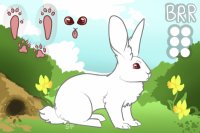 Berry Ridge Rabbitary - Open rabbit lines