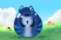 Blue Jay Egg