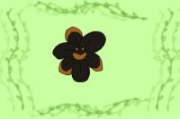 Black and Tan Flower!