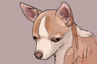 small doodle of my new dog chloe