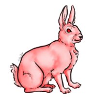 Mo, The Evil Rabbit