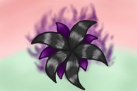 Pholveias Flower 1