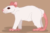 dustbowl fancy rats [WIP]