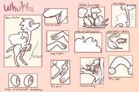Whutta Species chart