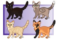 Cat designs