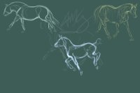 Quarter horse sketch study/dump