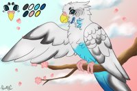 Peachie Parakeet #001