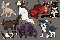 scribble adopts