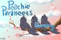 Peachie Parakeets - Nursery