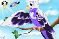 Peachie Parakeet #002