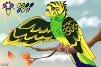 Peachie Parakeet #004