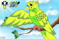 Peachie Parakeet #007
