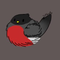 Robin avatar