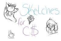 Sketches for C$
