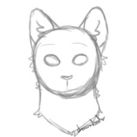 generic cat sketch (don't mind me lol)