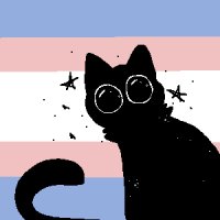 cat says trans rights
