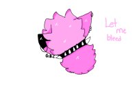 Punk Star Punk Star