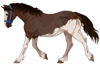 Range Trotter #133 Range Trotter #133