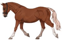 Range Trotter #138 Range Trotter #138