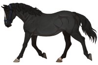 Range Trotters #144 Range Trotters #144