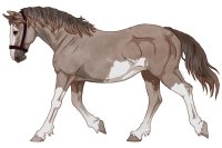 Range Trotter #169 Range Trotter #169