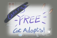 free cat adopts!